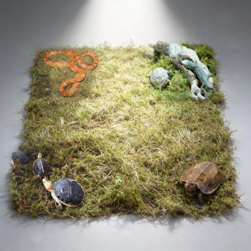 Preserved Moss Sheet - มอสแห้งธรรมชาติสำหรับปูพื้นตู้เลี้ยงสัตว์เลื้อยคลาน วัสดุรองพื้นสำหรับงู เต่า กิ้งก่า ใช้สำหรับการพักพิงและตกแต่งตู้เลี้ยงสัตว์ เสื่อมอสสีเขียว
